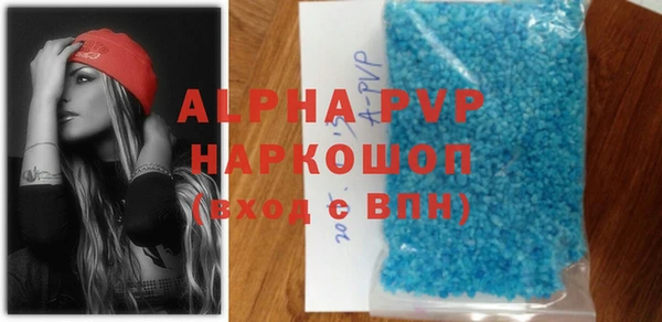 дживик Бородино