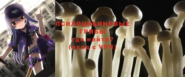 трава Верхний Тагил