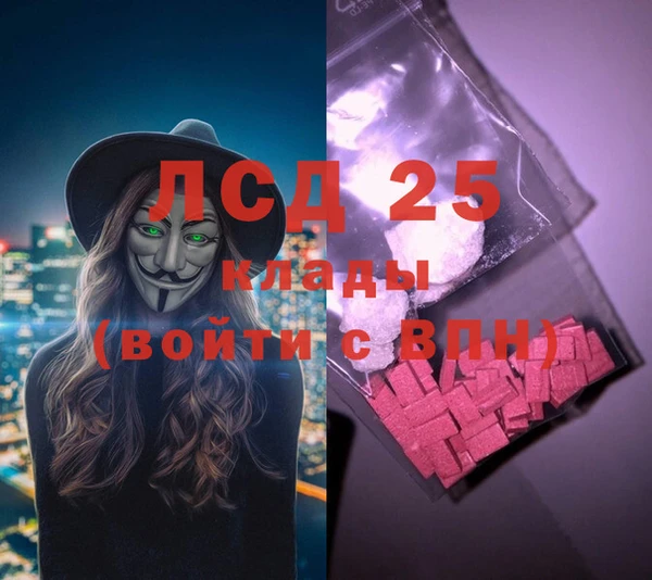 apvp Верея