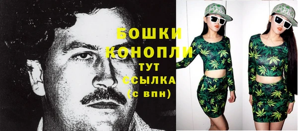 дживик Бородино