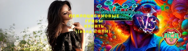 ECSTASY Бугульма
